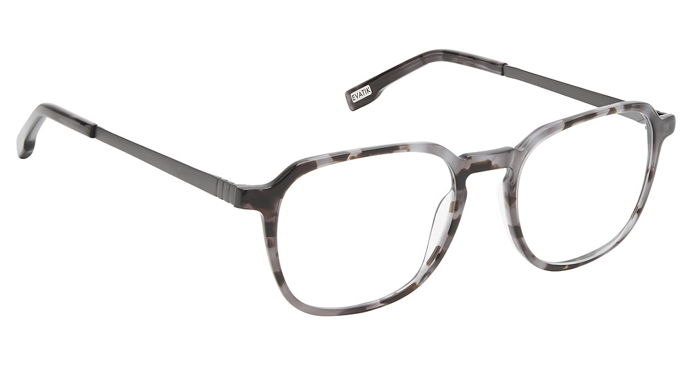 BLACK TORTOISE