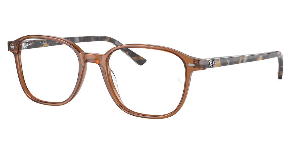 Ray-Ban RX5393F LEONARD square eyeglasses in Transparent Brown