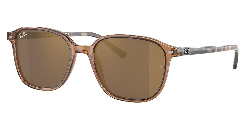 Ray-Ban RB2193 LEONARD round sunglasses in Transparent Brown/Light Brown Mirror Gold
