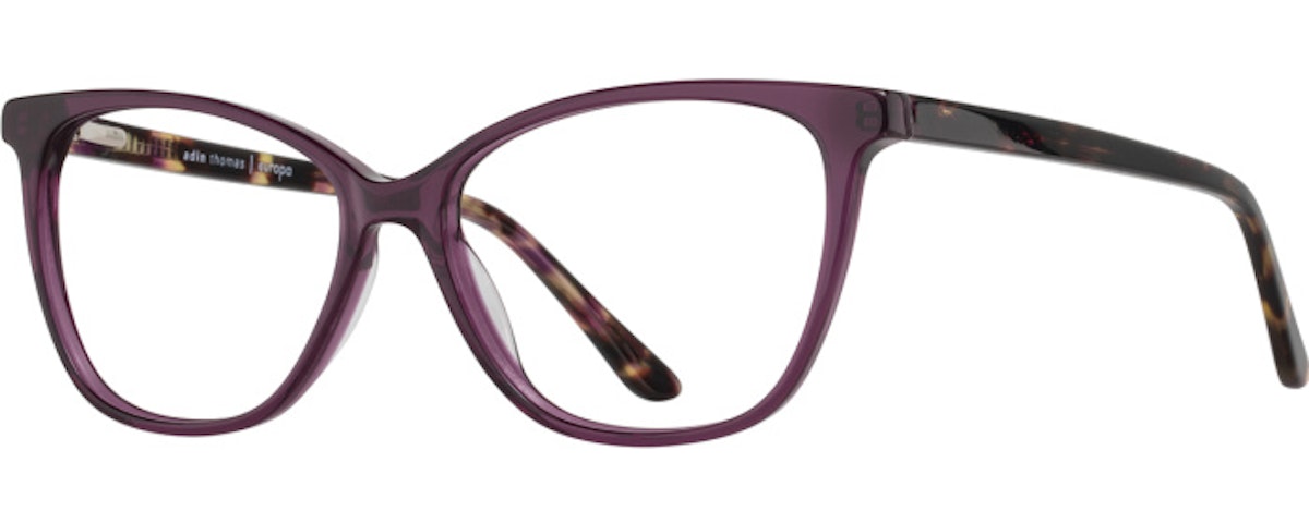 Plum / Plum Tortoise