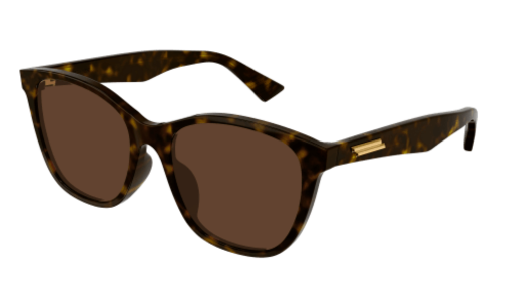 HAVANA-HAVANA-BROWN / BROWN