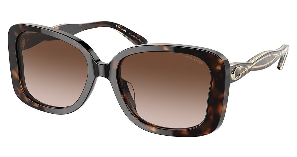 DARK TORTOISE / DARK BROWN GRADIENT