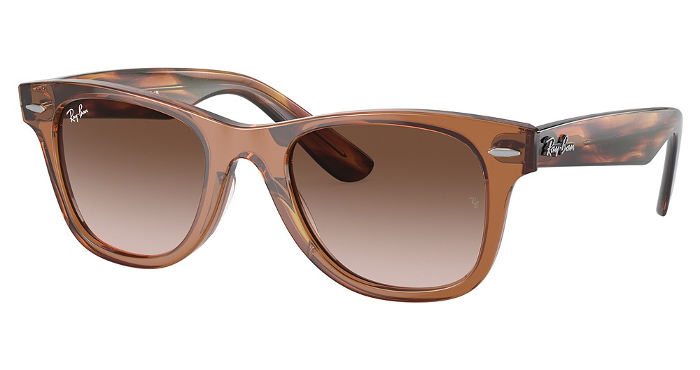 Ray-Ban RJ9066S JUNIOR WAYFARER round sunglasses in Trasparent Brown/Brown Gradient
