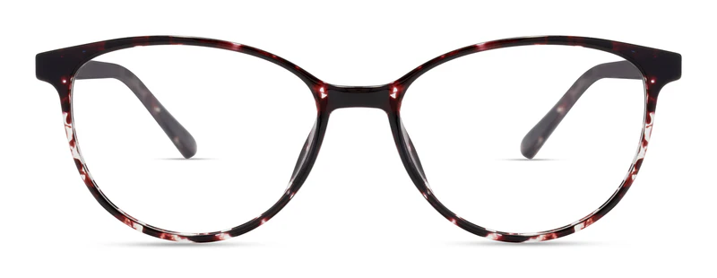 DARK PURPLE TORTOISE