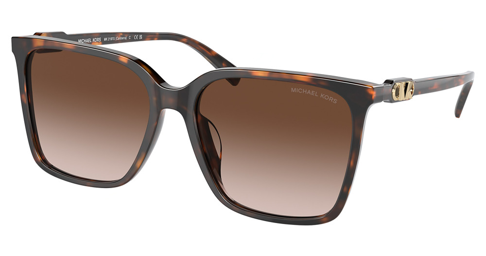 DARK TORTOISE / BROWN GRADIENT