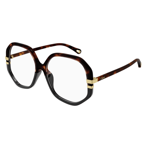 HAVANA-HAVANA-TRANSPARENT