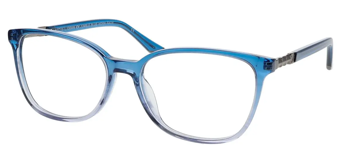 BLUE HORN FADE