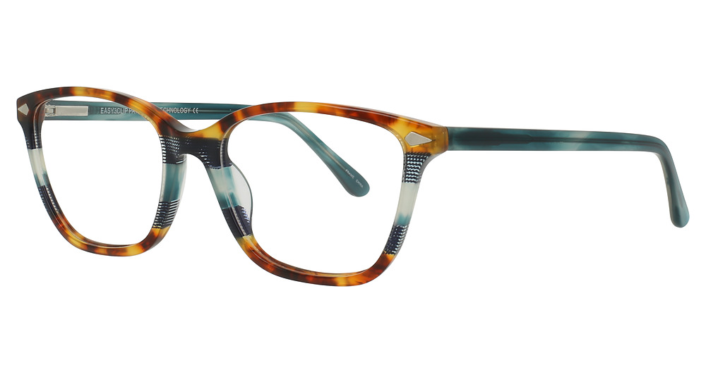 Tortoise & Teal