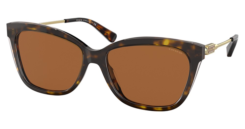 DARK TORTOISE / BROWN