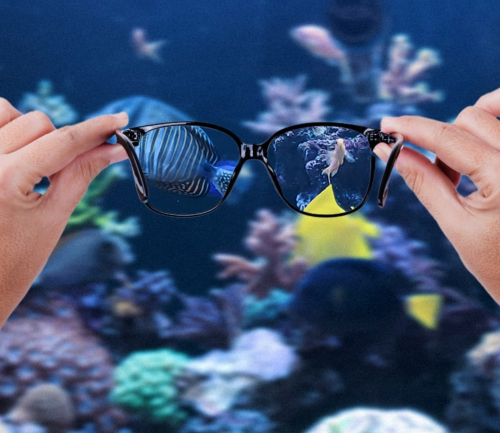 Welcome to our store!