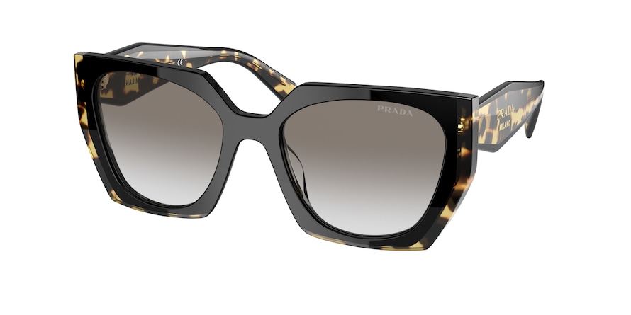 BLACK/MEDIUM TORTOISE