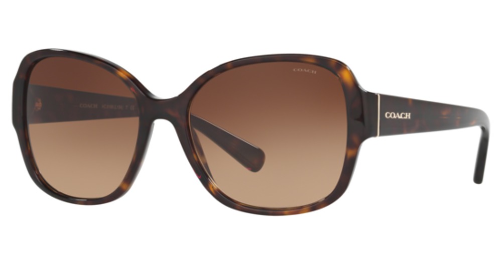 DARK TORTOISE / BROWN GRADIENT