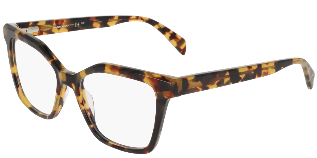 TOKYO TORTOISE