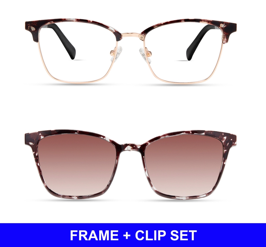 DARK PURPLE TORTOISE - SET