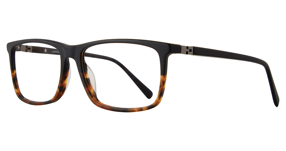 Black/Tortoise