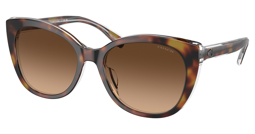 TORTOISE / TRANSPARENT B / BROWN GRADIENT