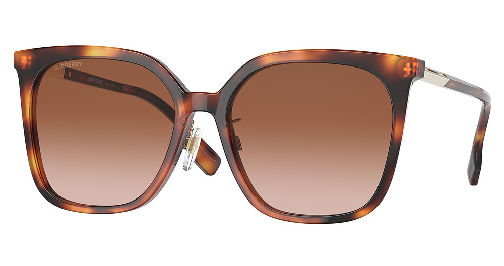 LIGHT HAVANA / BROWN GRADIENT